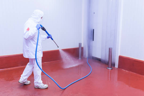 Best Brick and Stone Cleaning in South Charleston, OH